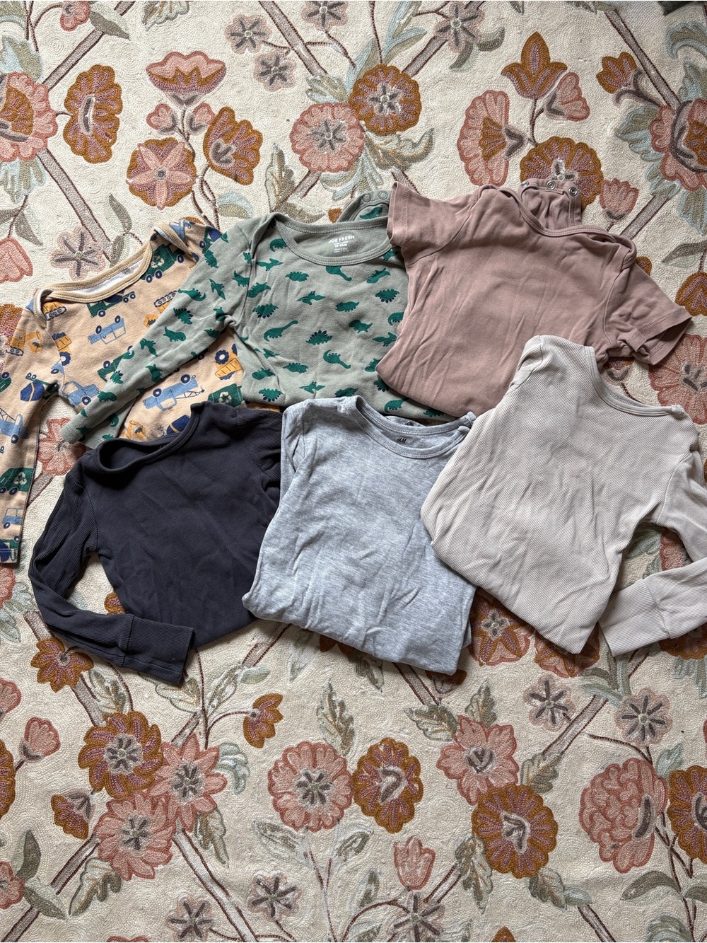 Set of 6: Organic Cotton 18-24 Boys Onesies in Earthy Neutrals & Vintage Prints